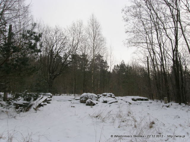Stanowisko RSWP. Stanowisko RSWP.