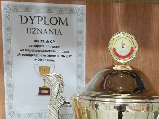 Dyplom za 2017 rok.