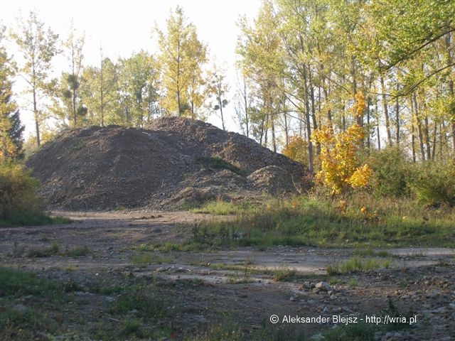 39 dr OP - 20.10.2008