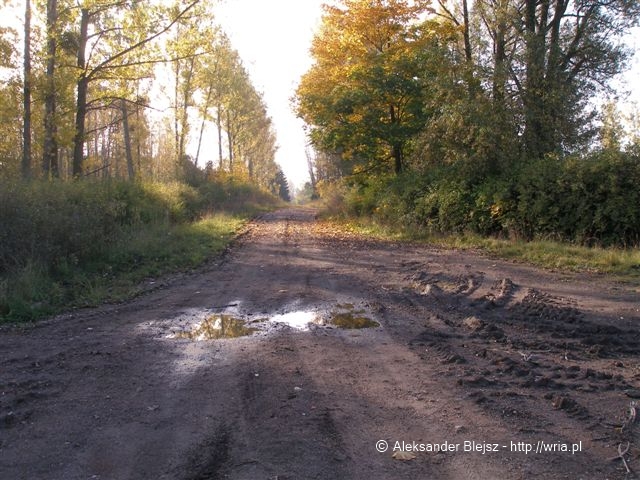 39 dr OP - 20.10.2008