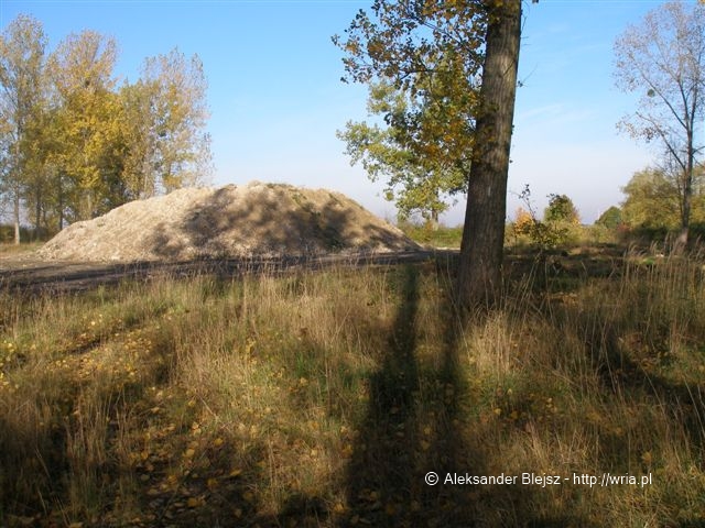 39 dr OP - 20.10.2008