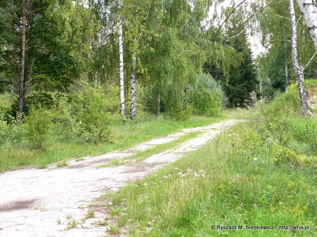 Pozostałości po drogach 61. dr OP m. Małocice. Pozostałości po drogach 61. dr OP m. Małocice.