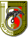 Odznaka 8 elt