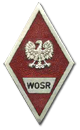 Absolwentka WOSR
