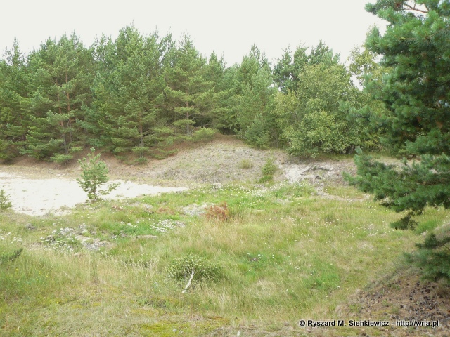 Wyrobisko po wyrzutni rakietowej w byłym 64. dr OP m. Hel-Bór. Wyrobisko po wyrzutni rakietowej w byłym 64. dr OP m. Hel-Bór.