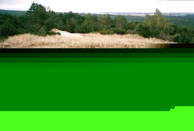 Widok z platformy widokowej na stanowisko wyrzutni rakiet w 45. dr OP m. Smołdzino (20.09.2005r.). Widok z platformy widokowej na stanowisko wyrzutni rakiet w 45. dr OP m. Smołdzino (20.09.2005r.).