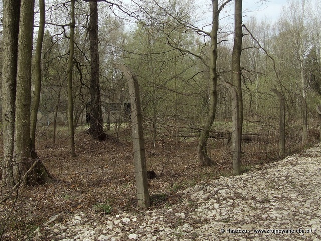 Ogrodzenie magazynu rakiet w byłym 12. dr OP m. Olszowa - 2011 r. Ogrodzenie magazynu rakiet w byłym 12. dr OP m. Olszowa - 2011 r.