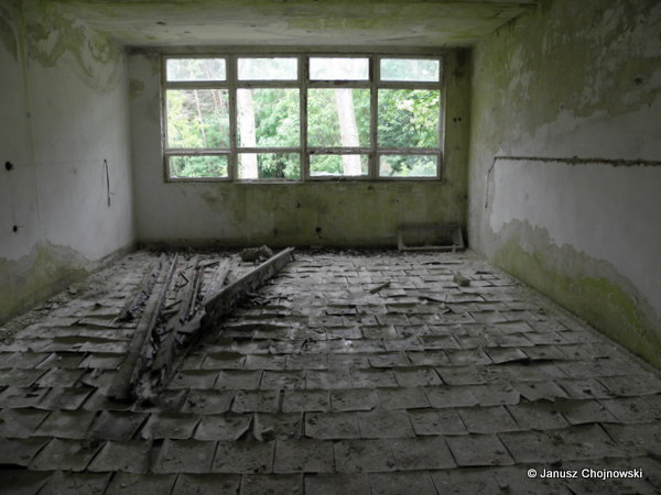 Koszarowiec 40. dr OP m. Kołczewo.